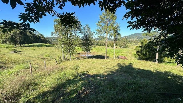 Foto 10