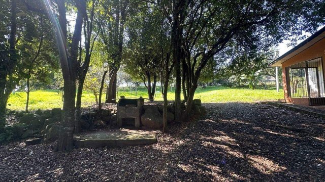 Foto 15