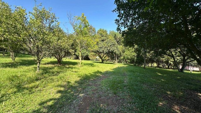 Foto 17